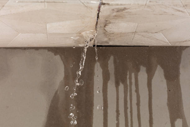 Professional Structural Drying technician working in Richland, MO